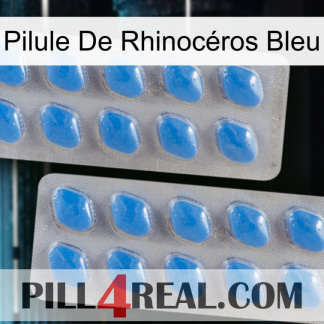 Pilule De Rhinocéros Bleu 23